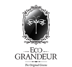 Untitled-1_0003_logo-ecograndeur.jpg
